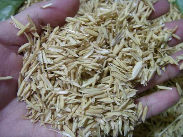 0114ctt rice hulls lo res