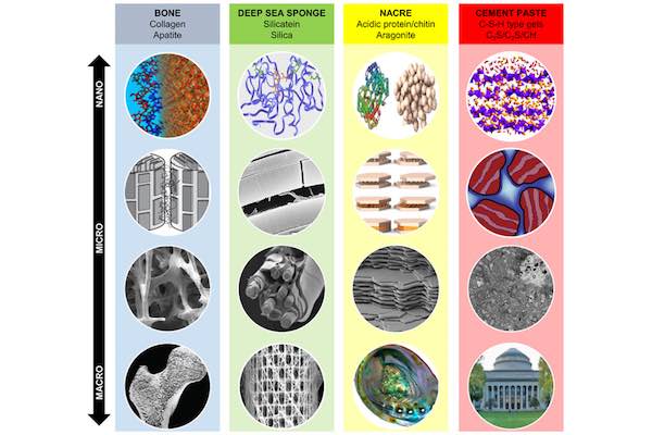 MIT-BioInspired-2 lo res
